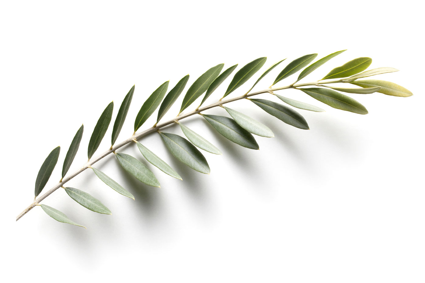 7 natural ingredients that fight colds to eat this winter