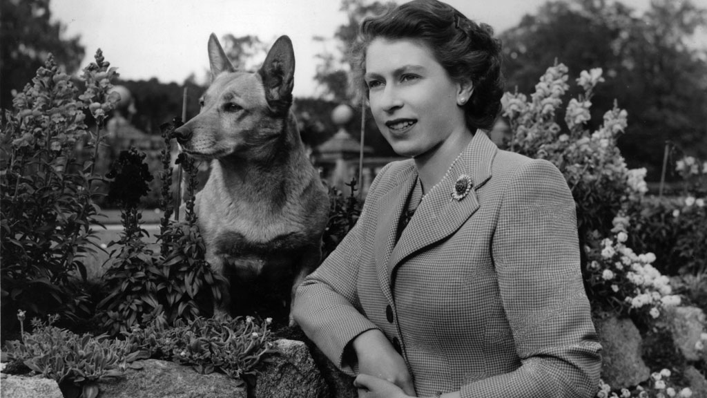 Things you never knew about the Queen and her corgis
