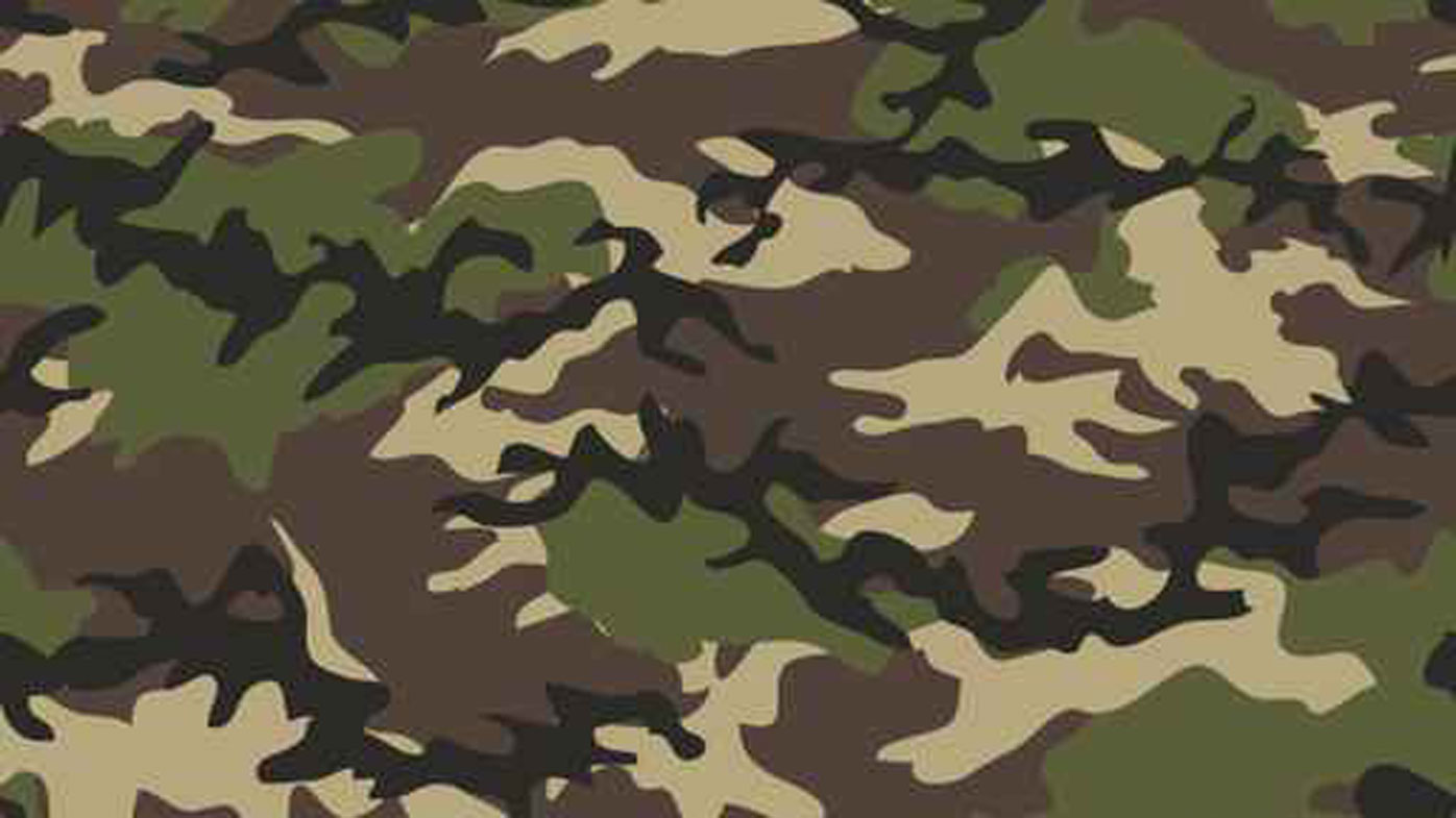 Shoplifter caught after his ‘very conspicuous camouflage’ fails to help
