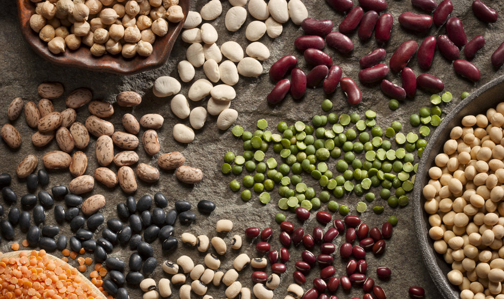 Beans, beans the magical fruit, the more you eat, the more you…lose weight? 9Coach