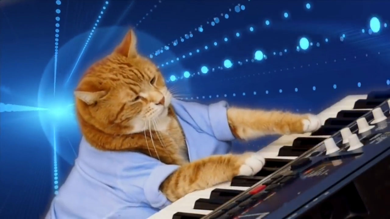 VIDEO: Feline star Keyboard Cat breathes its last 