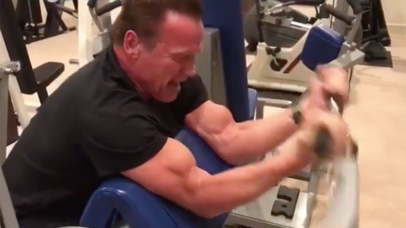 Simple Arnold Schwarzenegger Weekly Workout for Build Muscle