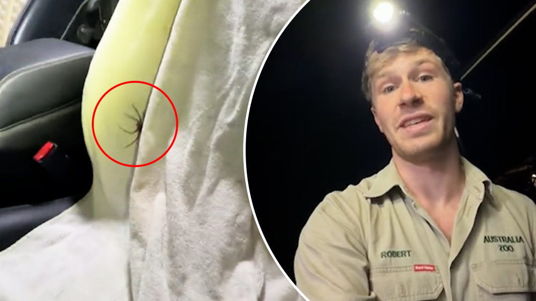 Shock as Robert Irwin reveals a surprise 'passenger princess' in his car: 'C'mon, that's not your seat'