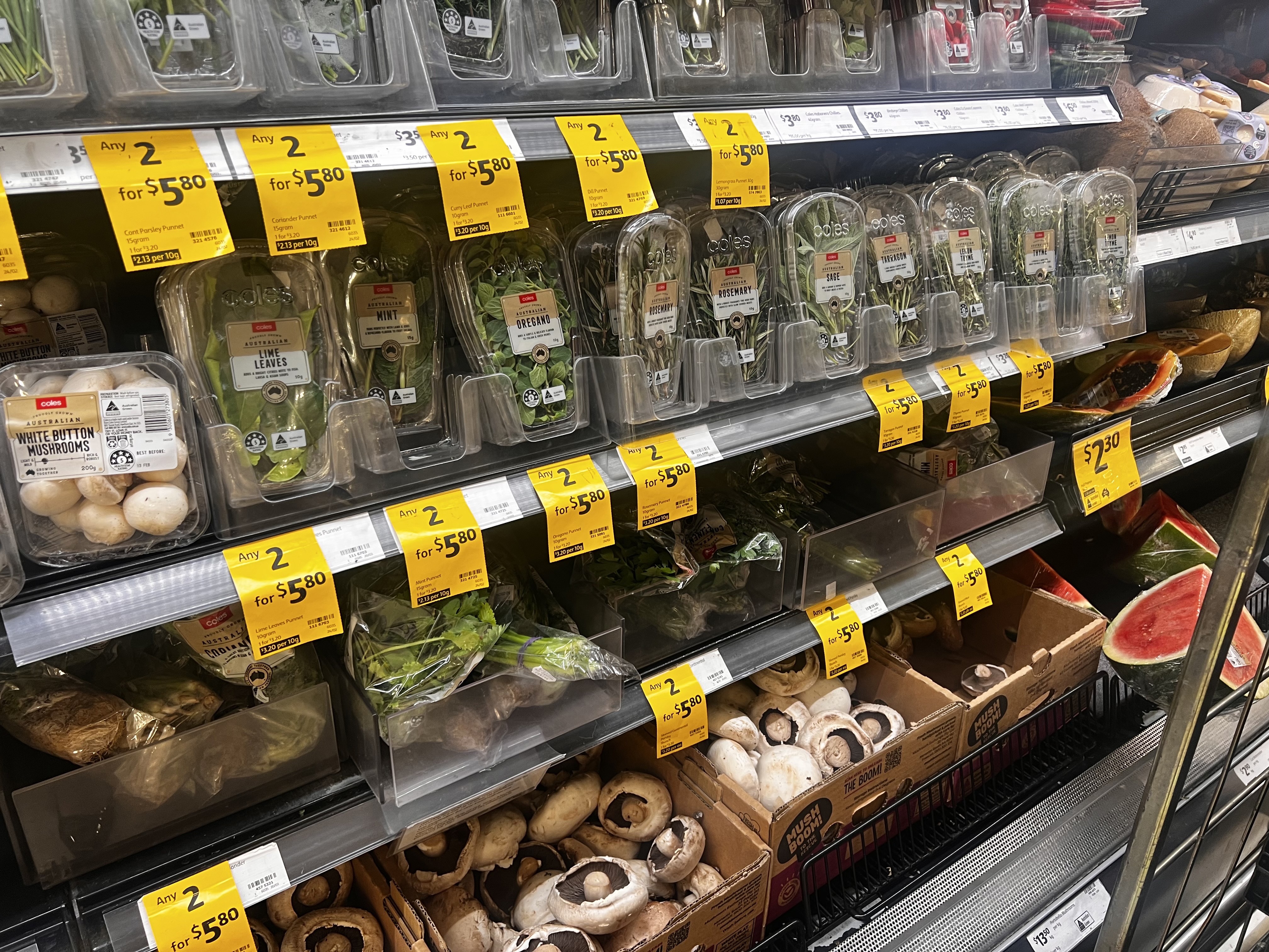 Coriander shortage hits Australia: Why the herb is disappearing from supermarket shelves