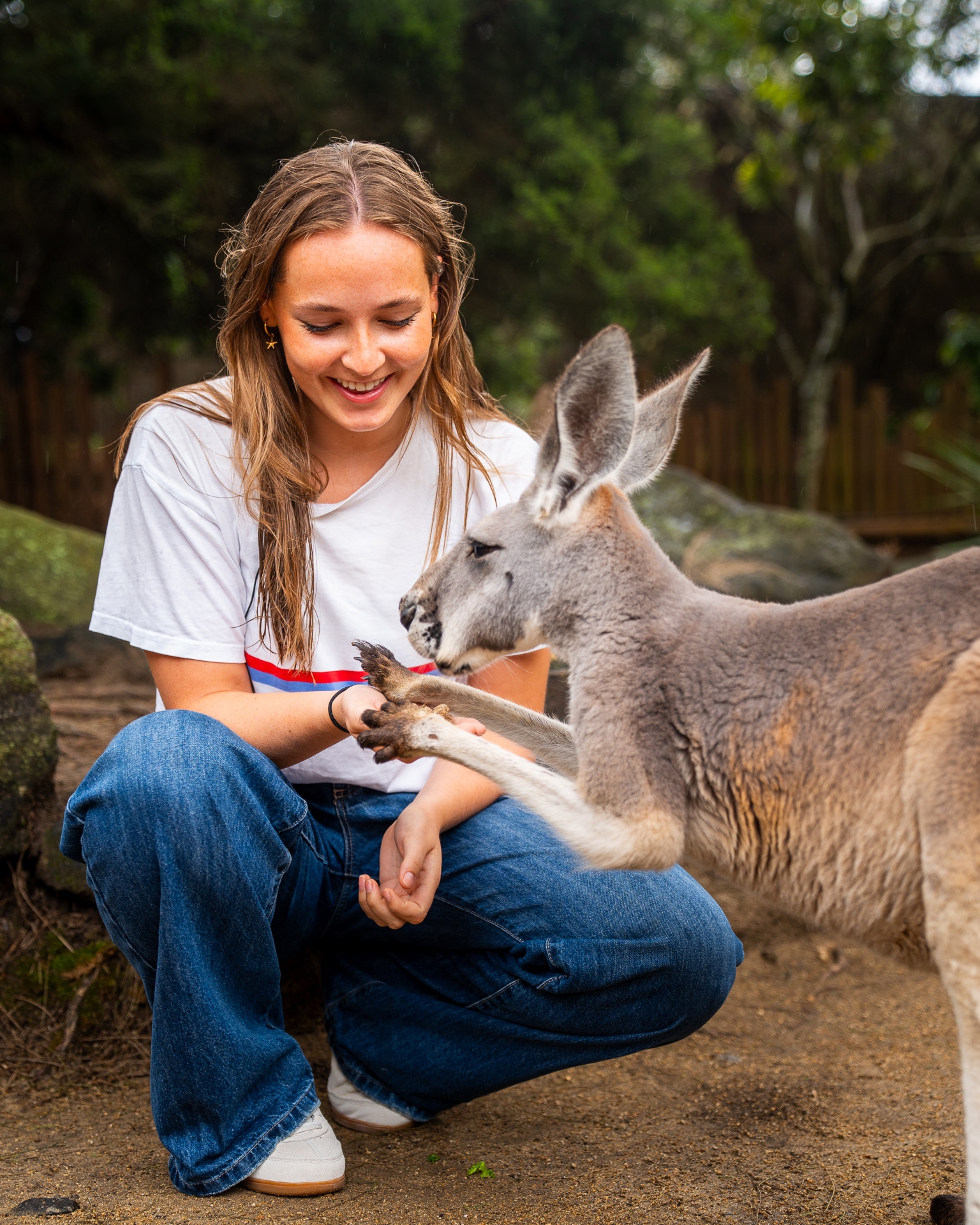 Palace shares new photos of Princess Ingrid Alexandra ahead of her return to Sydney