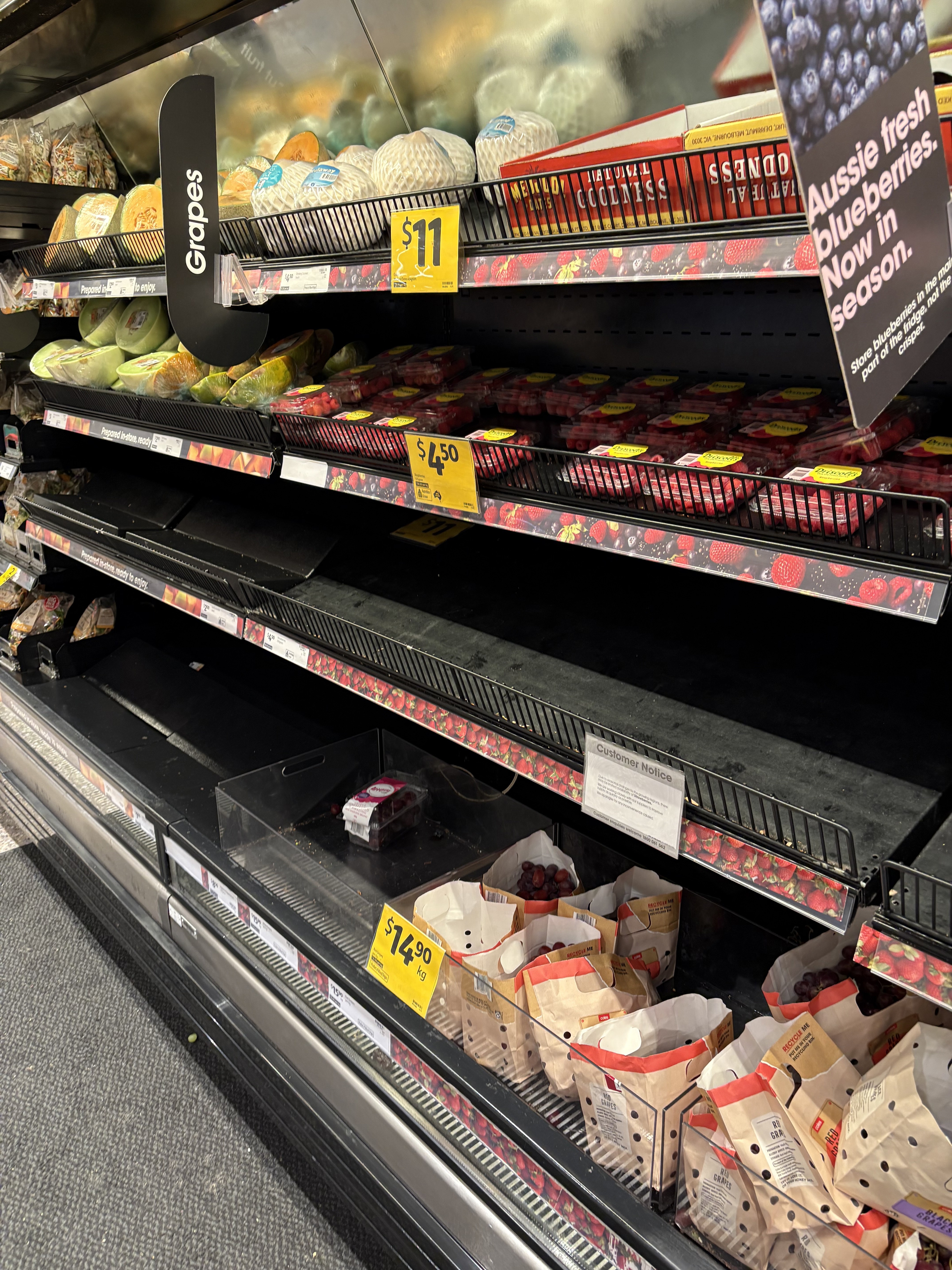 Australia's sudden strawberry shortage leaves supermarket shoppers baffled - but we found out the truth