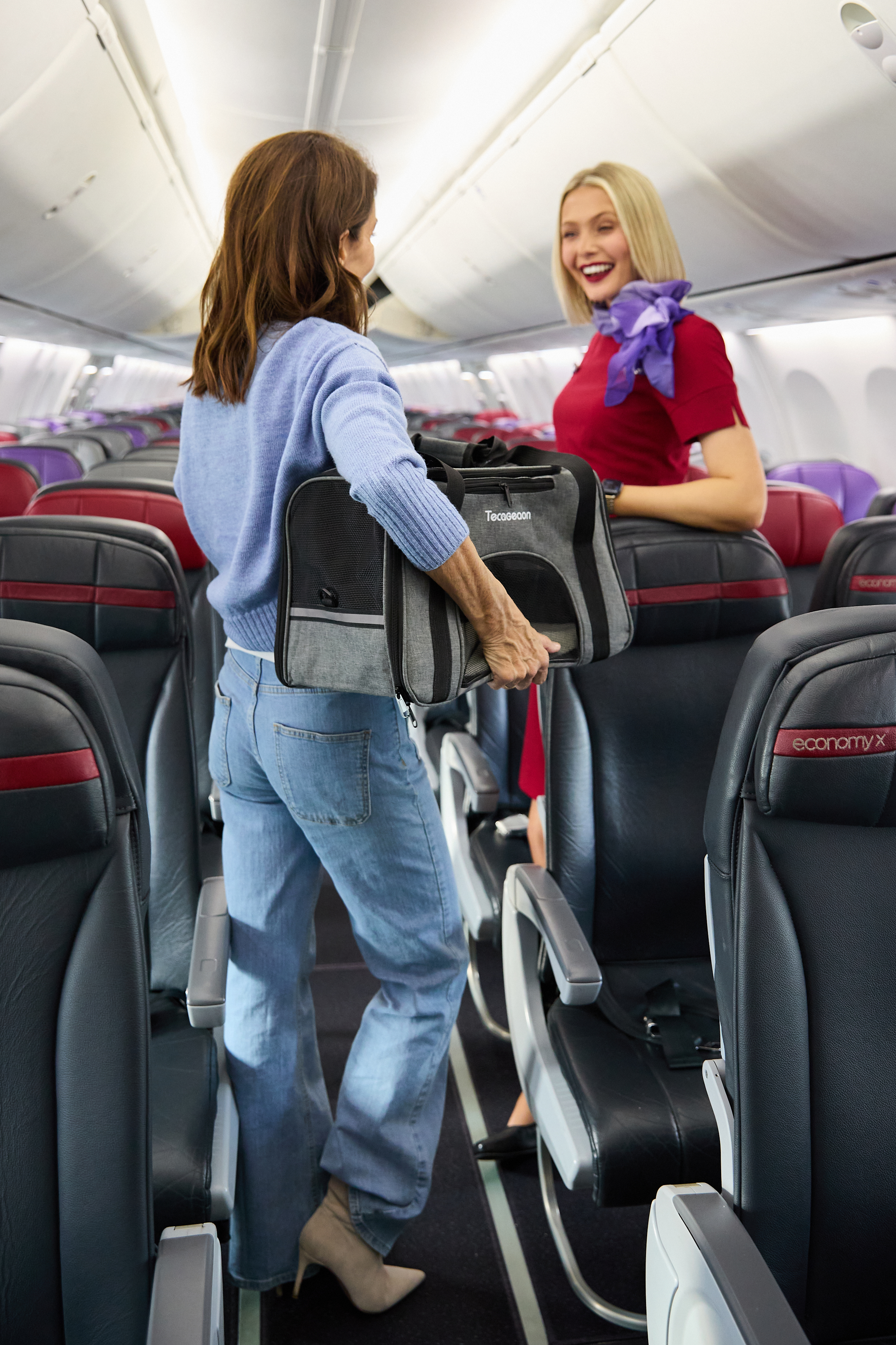 Virgin Australia extends 'Pets in Cabin' trial after huge demand