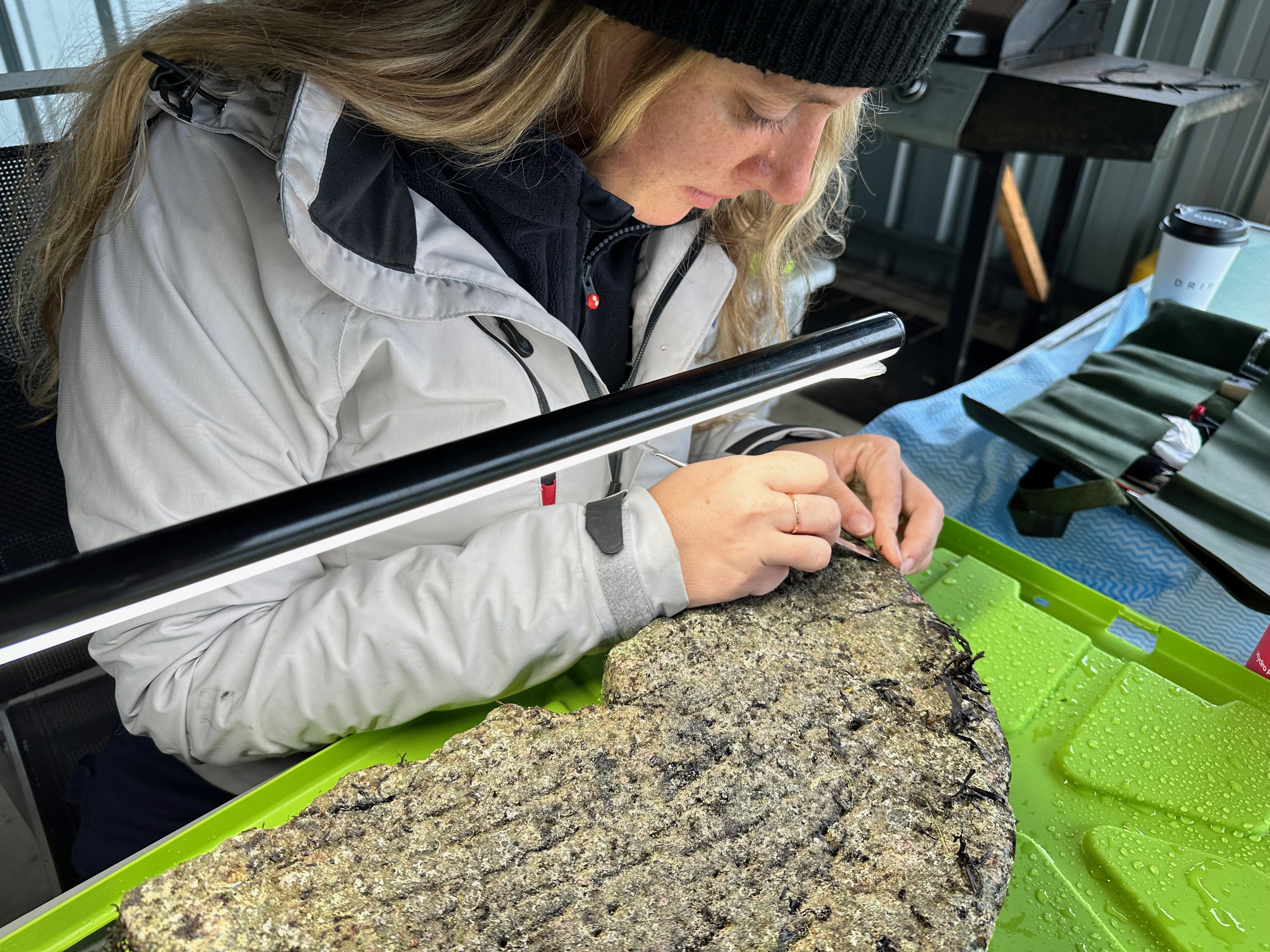 Heather had 'no idea' what she wanted to do after school. Until she found a unique way to combine her two passions