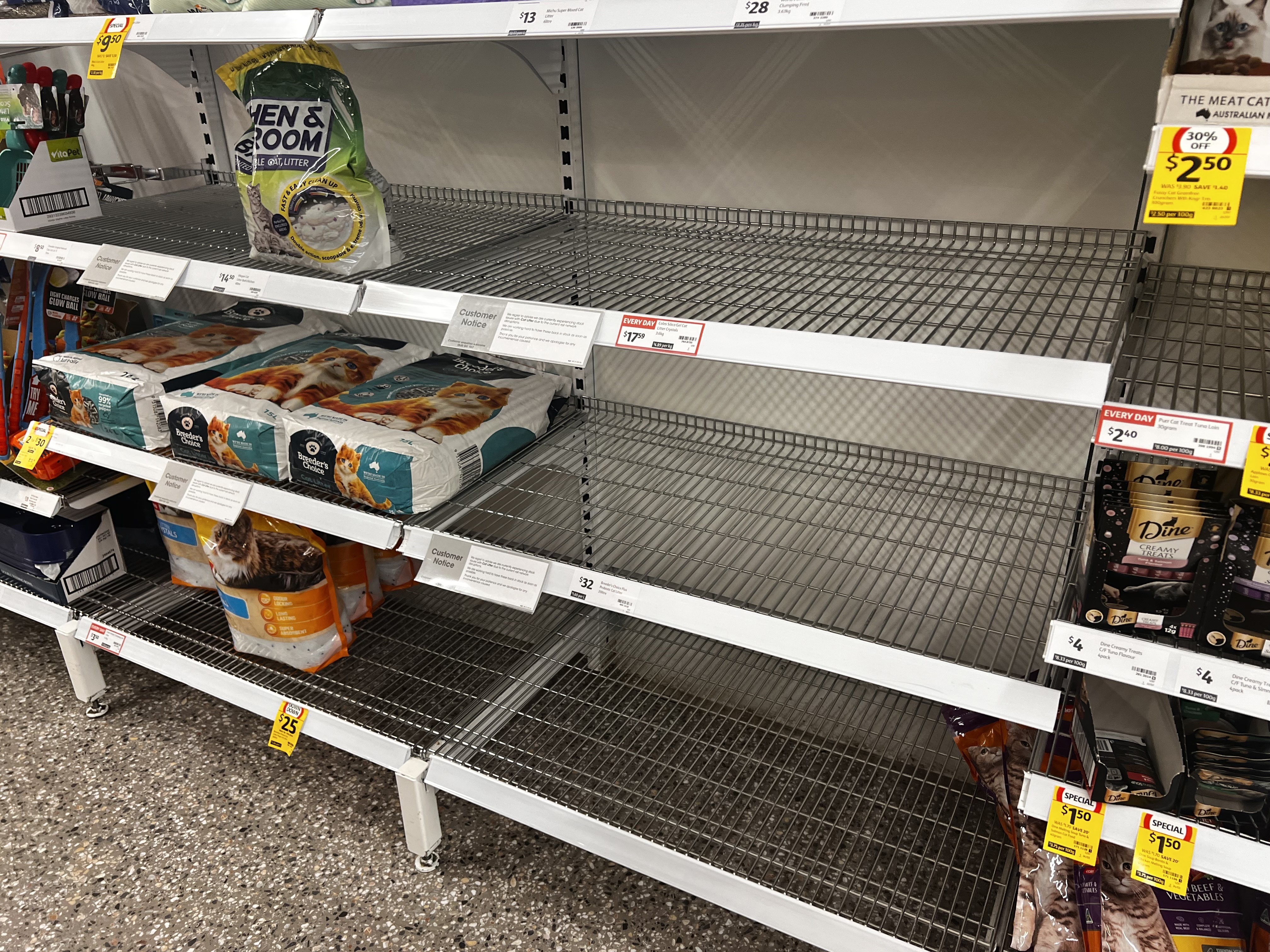 Coles customers facing cat litter shortage due to 'rail network disruptions'