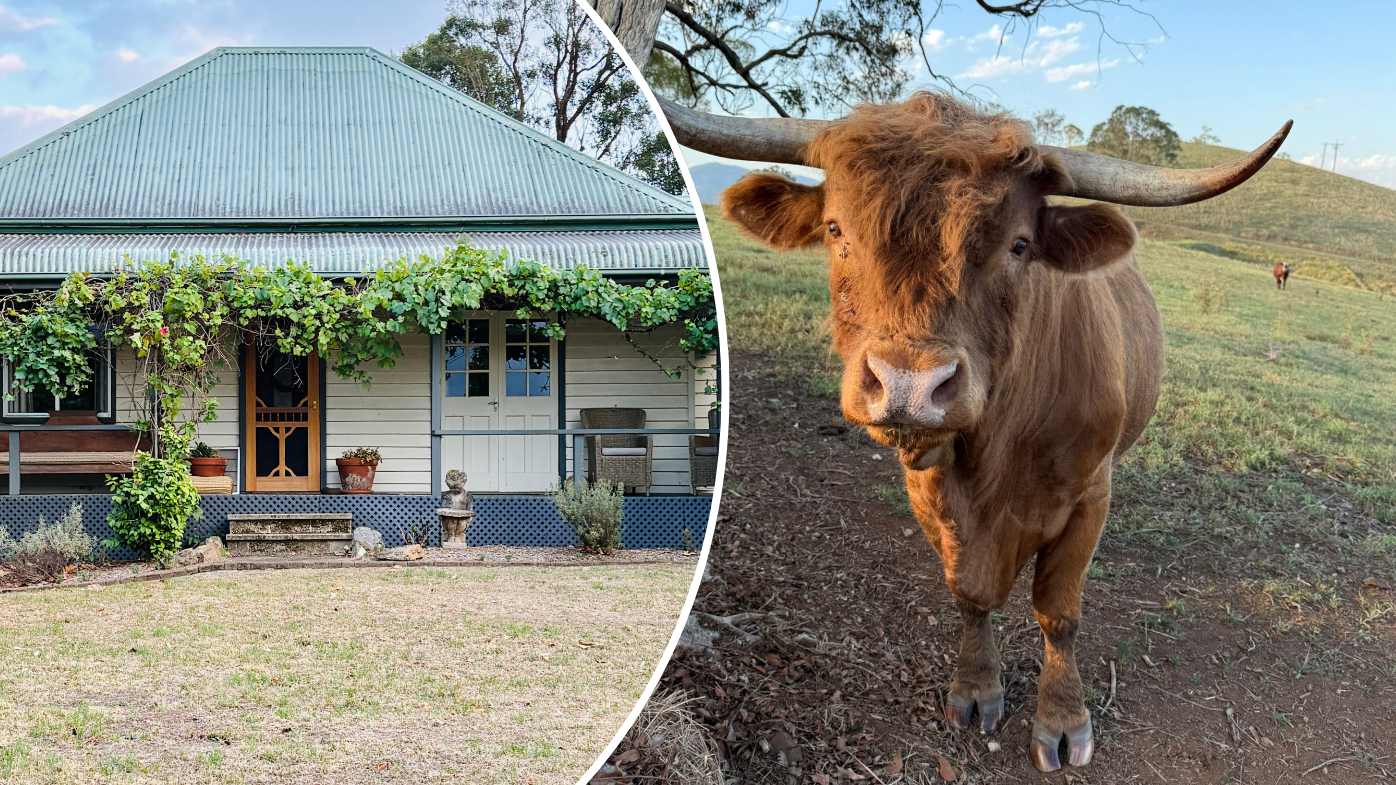 Thinking of doing a farm stay? You can expect a few 'surprises'