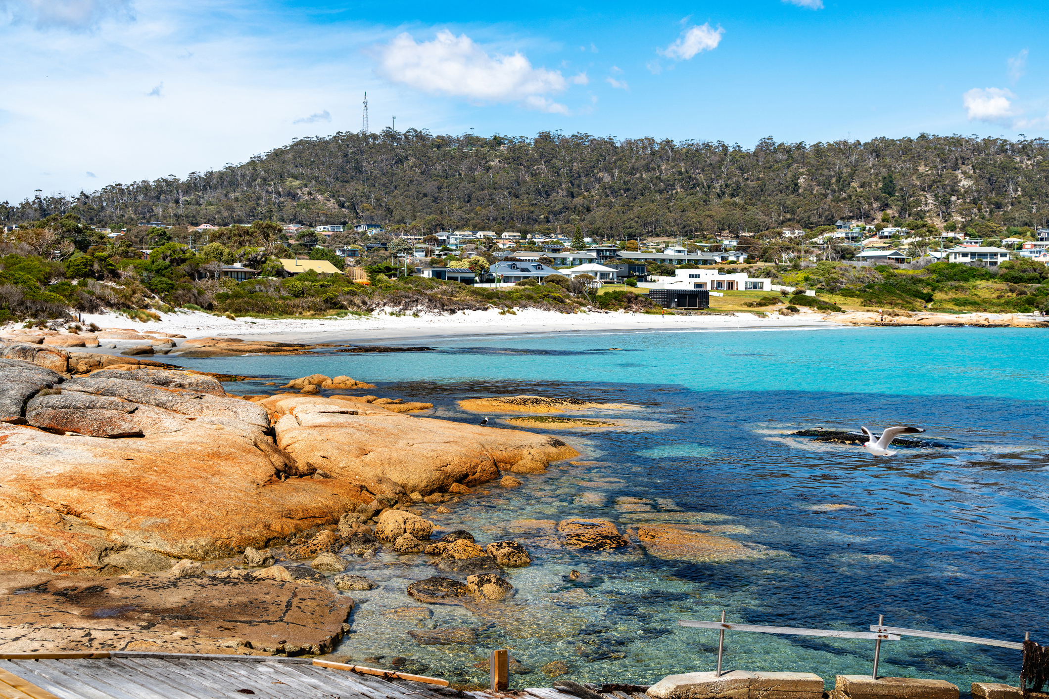 'This Tassie town has been voted the best in Australia, and I know exactly why'