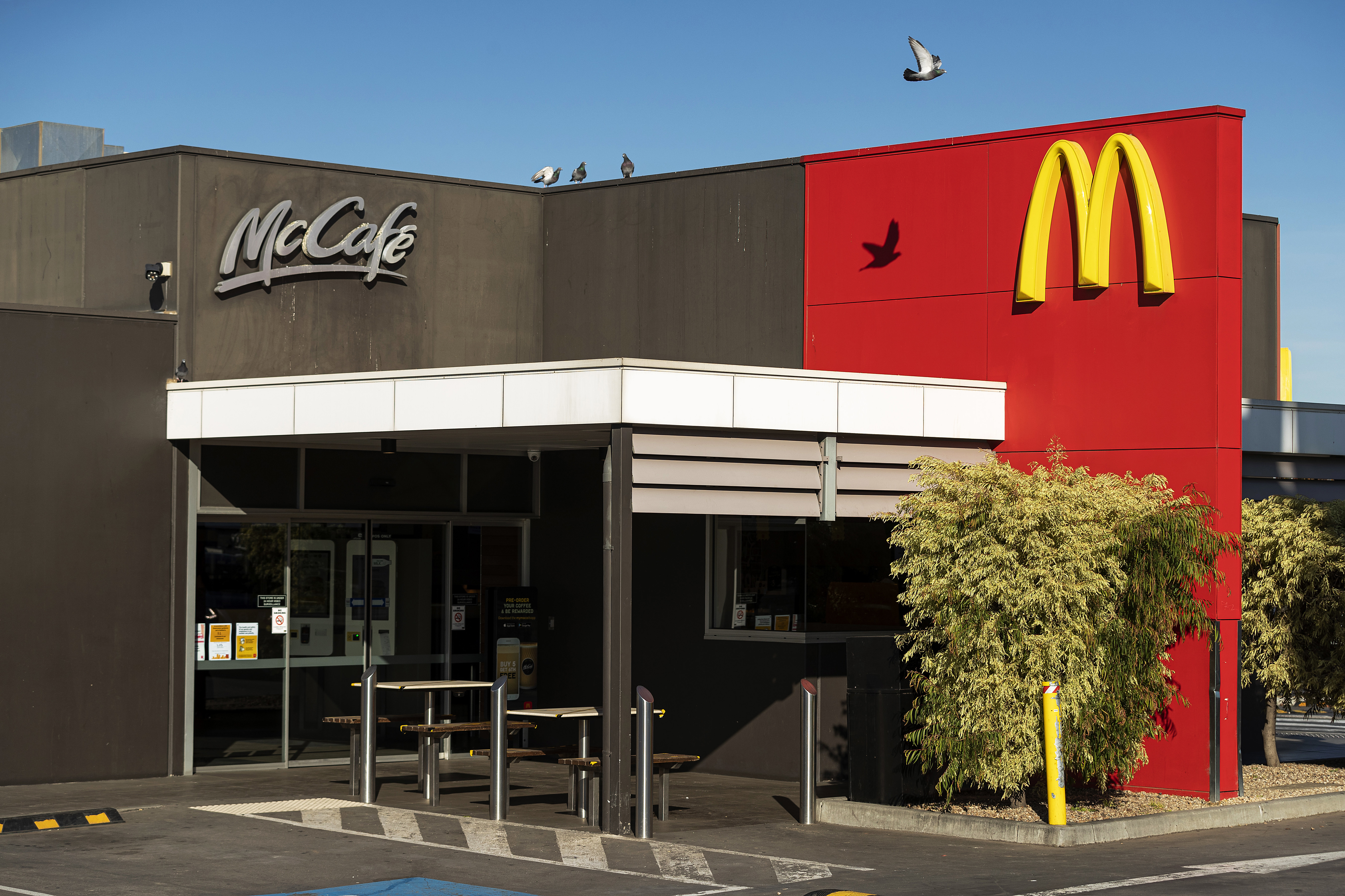 Macca's is giving away five million free items across Australia from today