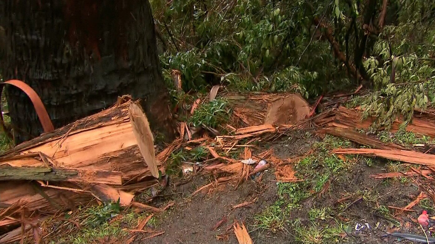 Sherbrooke deaths Two people killed by falling tree Victoria news