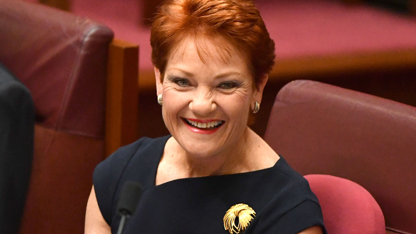 Pauline Hanson On Her Gorgeous Partner Amid Sexual Harassment