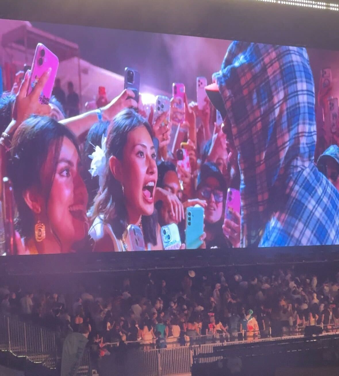 'In the middle of his Sydney gig, Bad Bunny did something I've never seen another artist do'