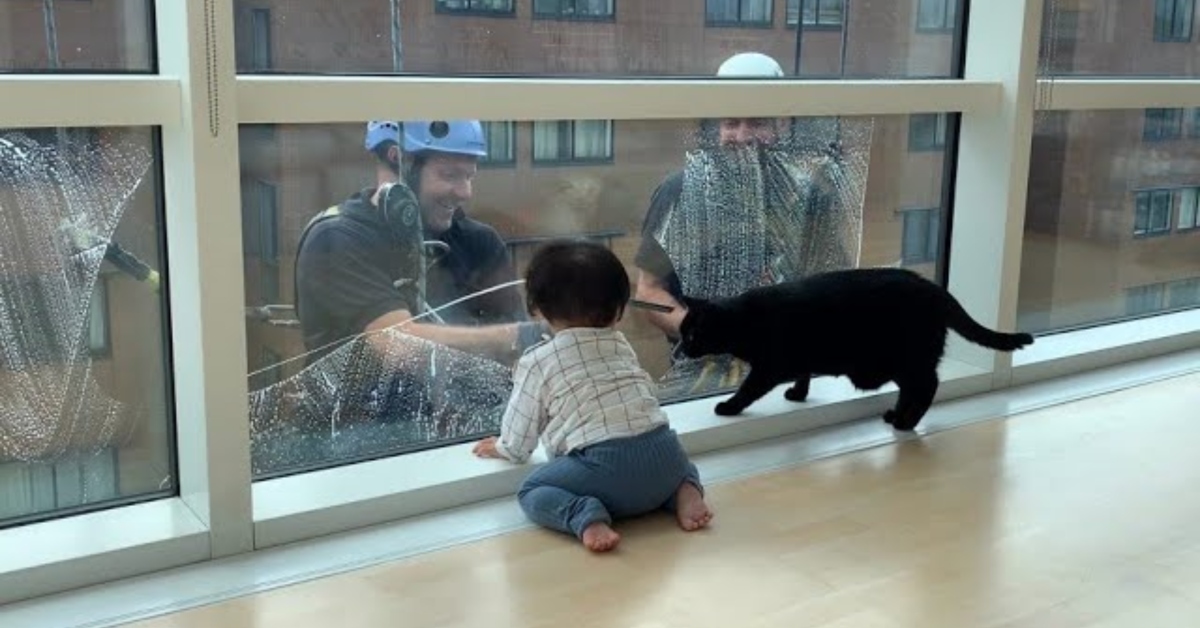 Adorable babies and their pet cats, to make your heart melt