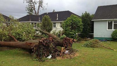 The aftermath of the tornado outside a west Auckland home.