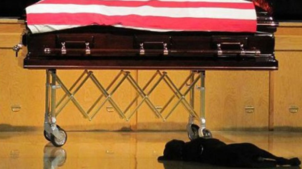 A loyal dog keeps a vigil beside his fallen owner.