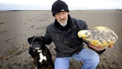 Mr Wilman's dog made the lucrative find.