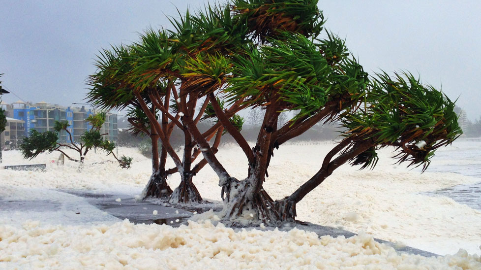 Strong winds continue to batter the Sunshine Coast. (Tim 'Baldy' Roberts)
