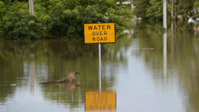 A sign reading "Water Over Road" pops out of flood water in Bundaberg, Queensland. (AAP)