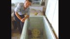 A photo posted online of farmer Mr Li with his 'alien'. 