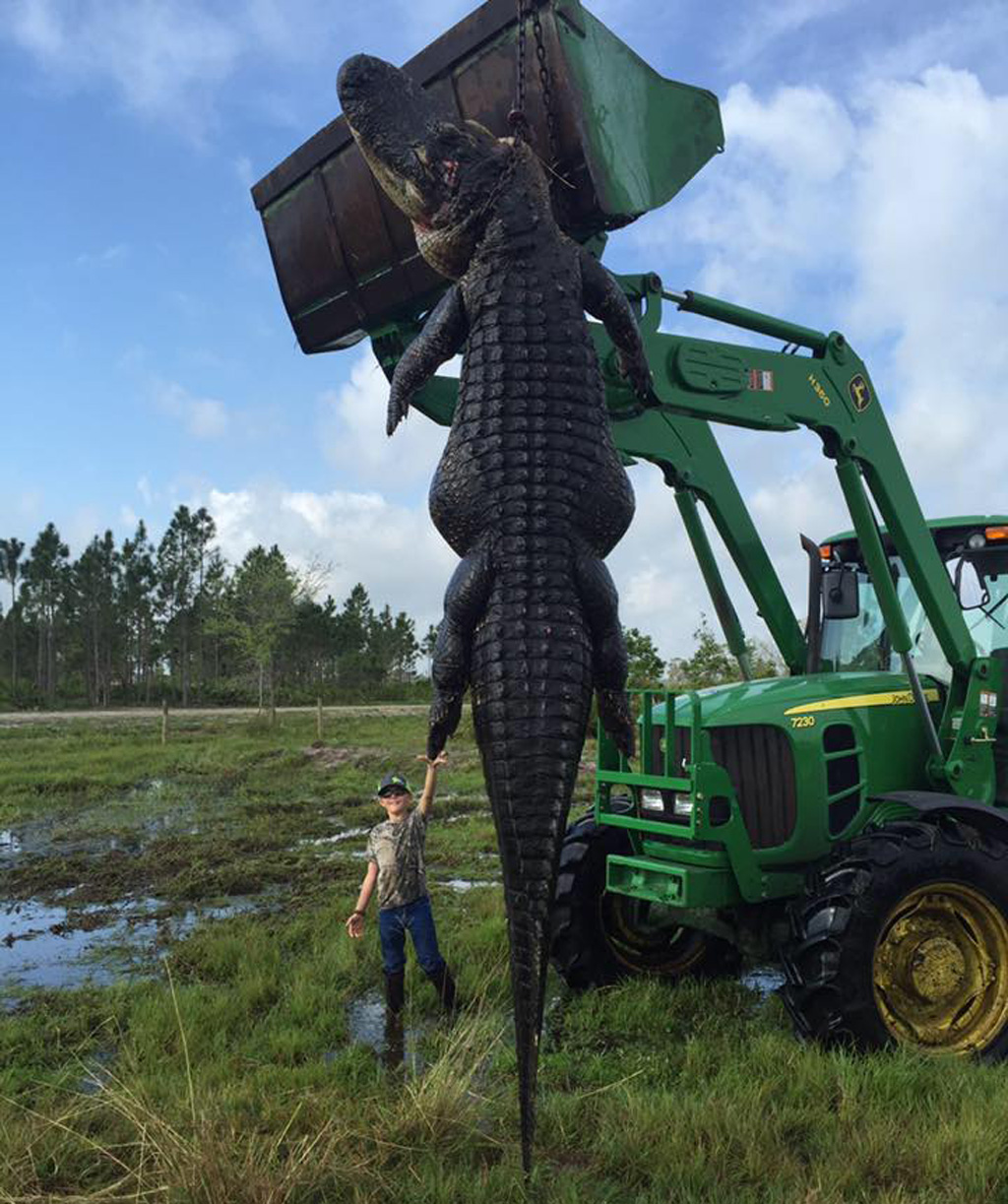 Plucky Former Poultry Farmer Goes Wild For Gators