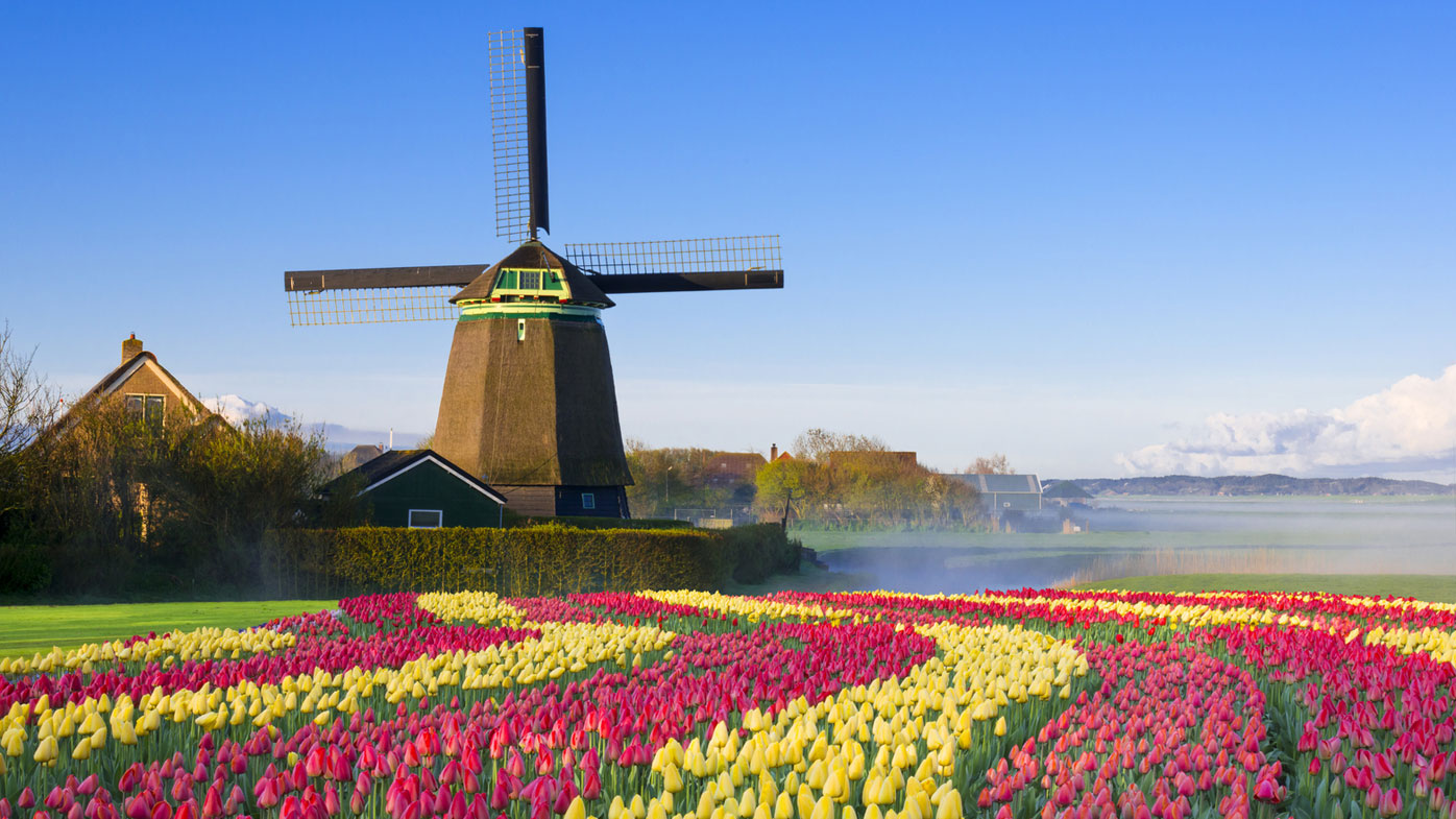 tours to holland
