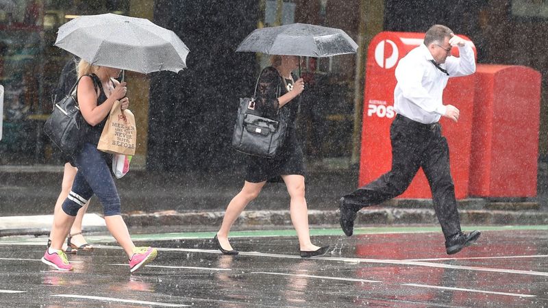 Rain Weather Adelaide Crows AFL Umbrella 