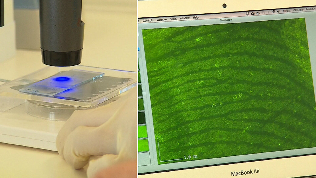 Stunning DNA breakthrough could help crack cold cases