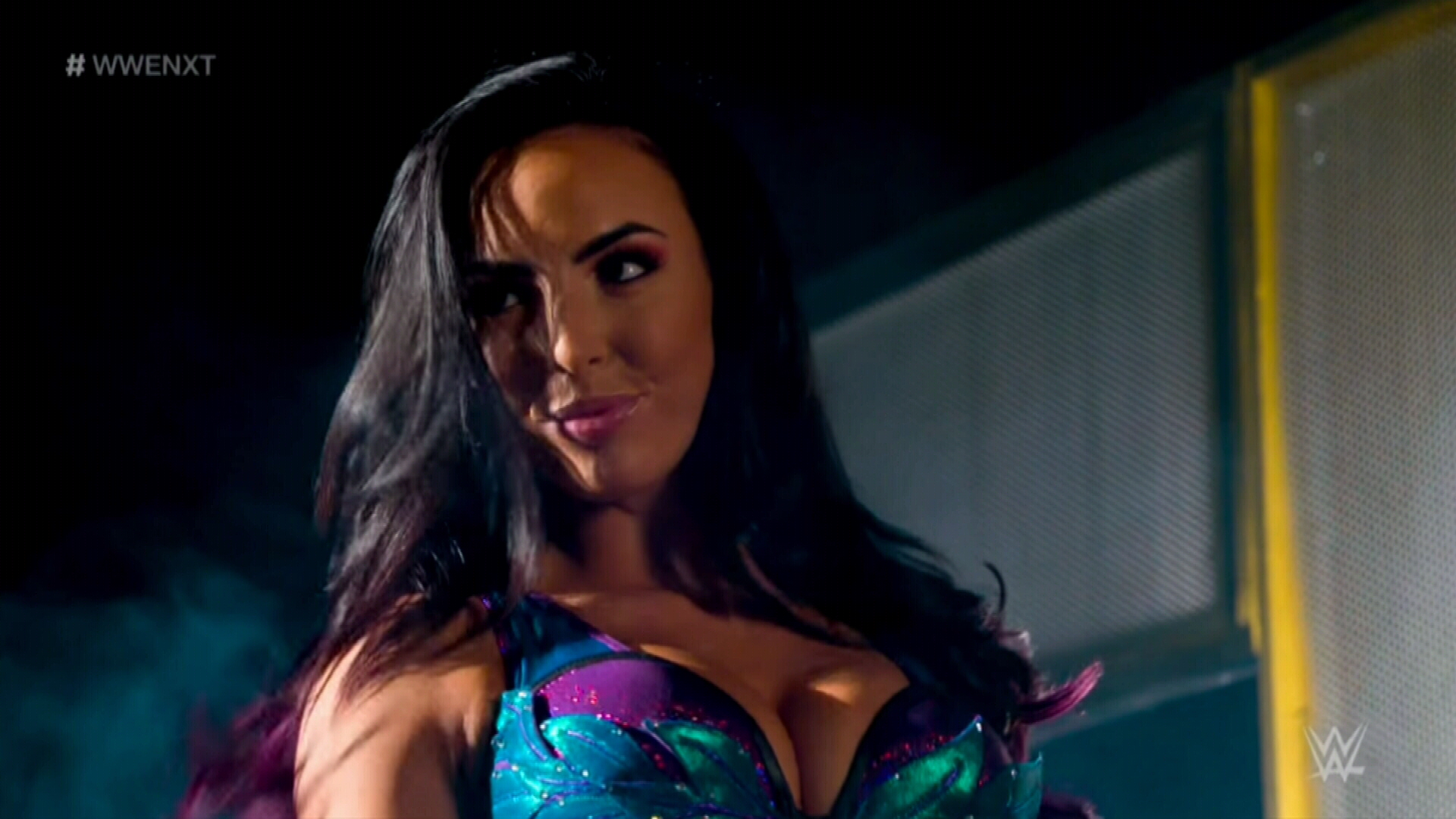 WWE: Sydney women Peyton Royce and Billie Kay are professional wrestlers