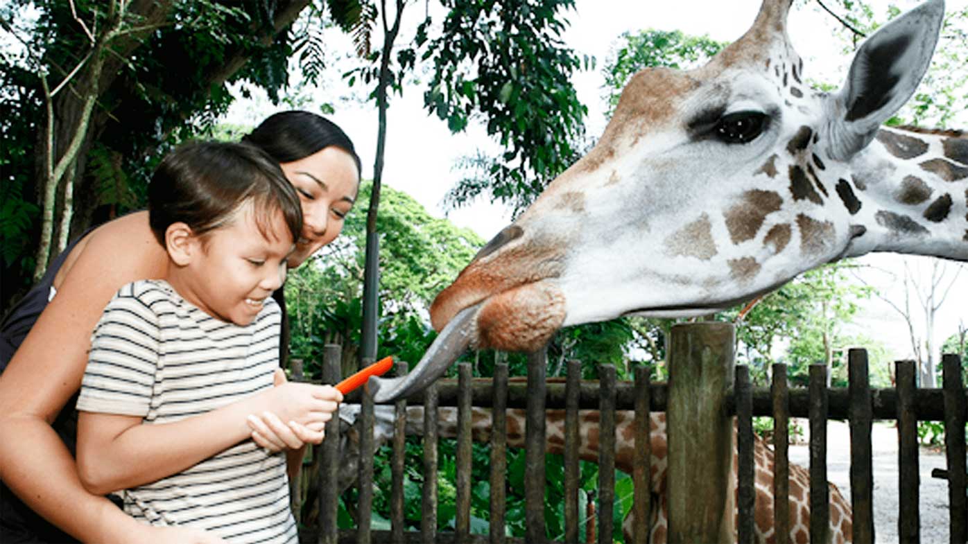 Best Instagram ops at Singapore Zoo - 9Travel