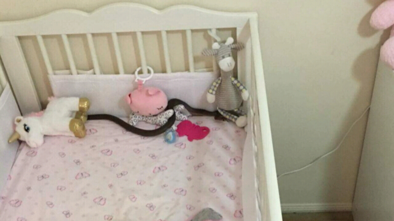 crib snake