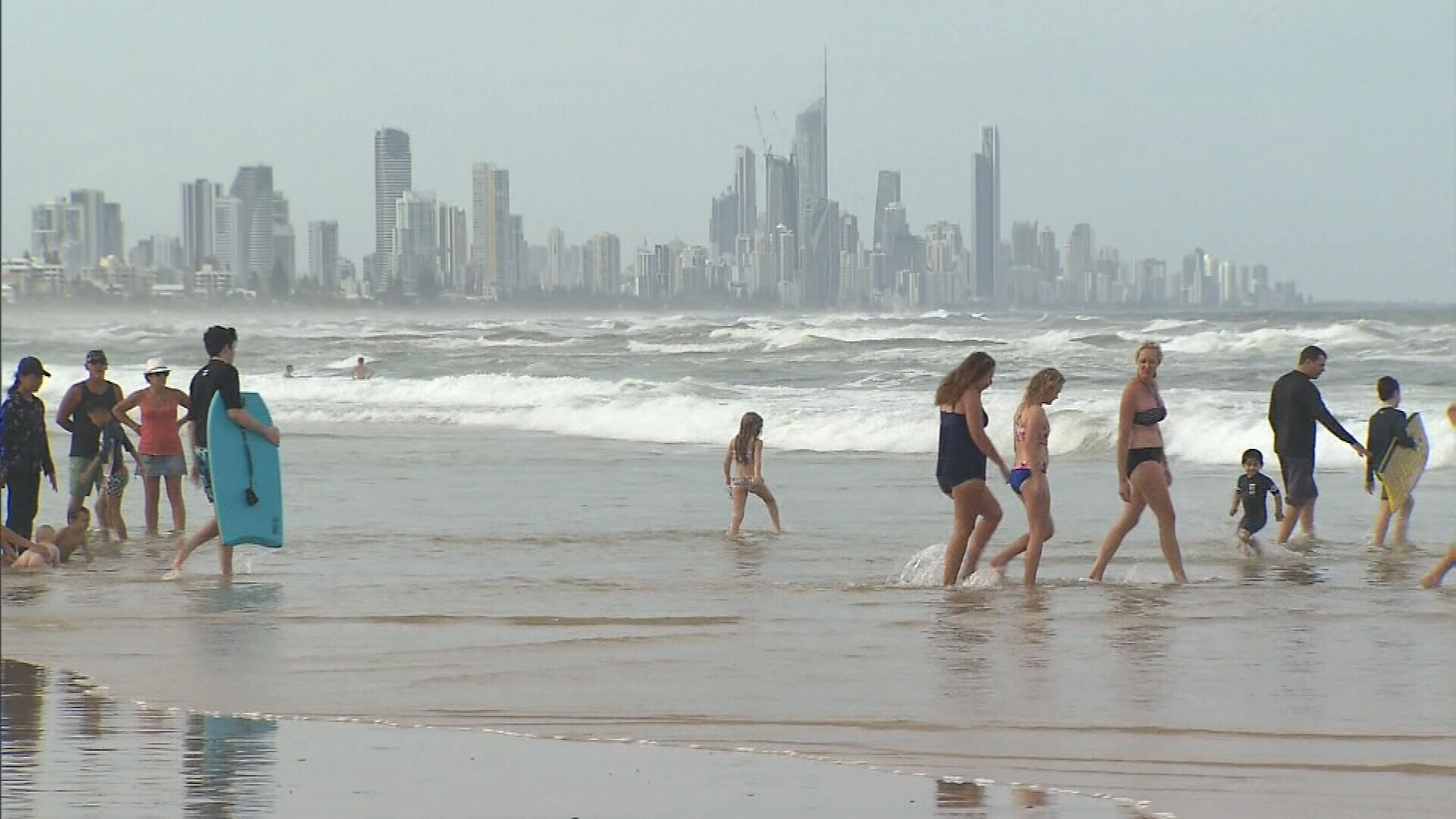 Bluebottle 'epidemic': thousands stung as record numbers swarm Queensland  beaches, Queensland