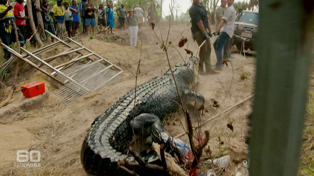 Hermès Buys 376 Acres Of Farmland In The Northern Territory For Huge Crocodile  Farm - LADbible