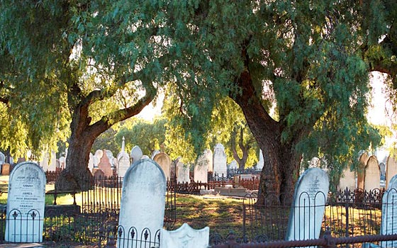 Melbourne General Cemetery (supplied)