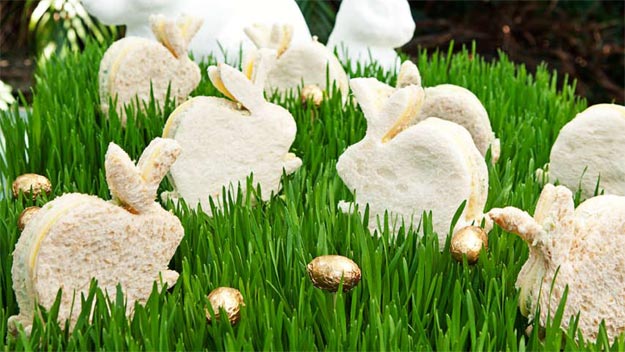 Image result for bunny shaped Foods