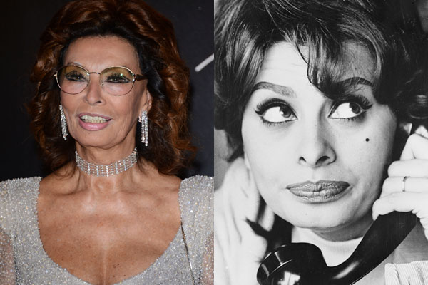 GMILF: Sophia Loren's $50,000 plastic surgery bill keeps her looking ...