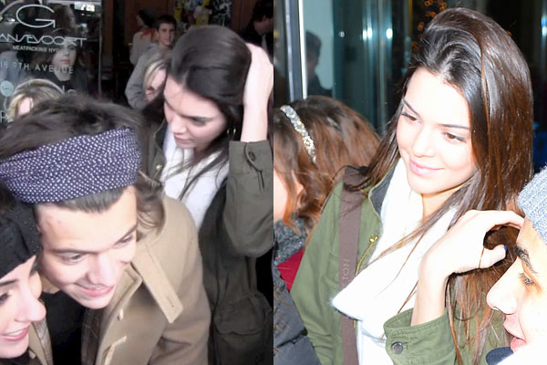 Kendall Jenner And Harry Styles Spotted Leaving Ny Hotel Together 9celebrity