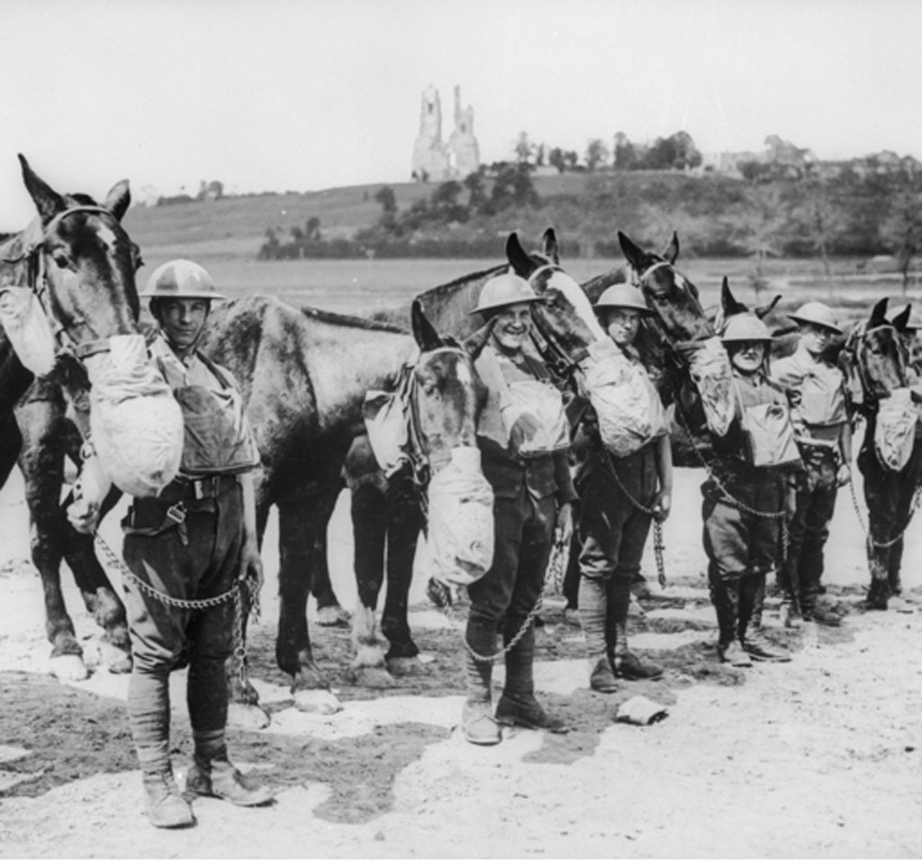 Horses fitted with gas masks in WWI 9Pickle