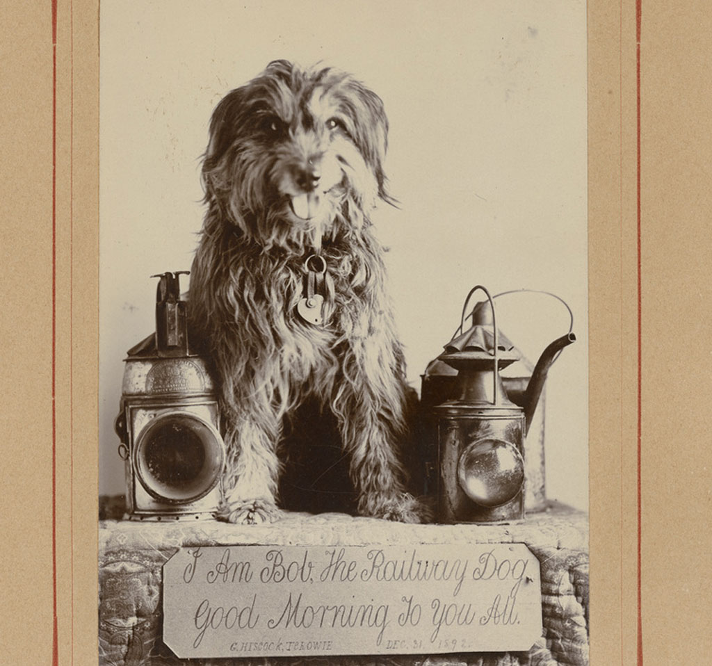 The story of Bob The Railway Dog 9Pickle