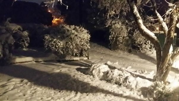 Oberon received about 150-200mm of snow overnight. (Mick Holland)