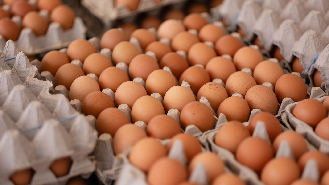 US egg prices increase to record high, dashing hopes of cheap eggs by Easter