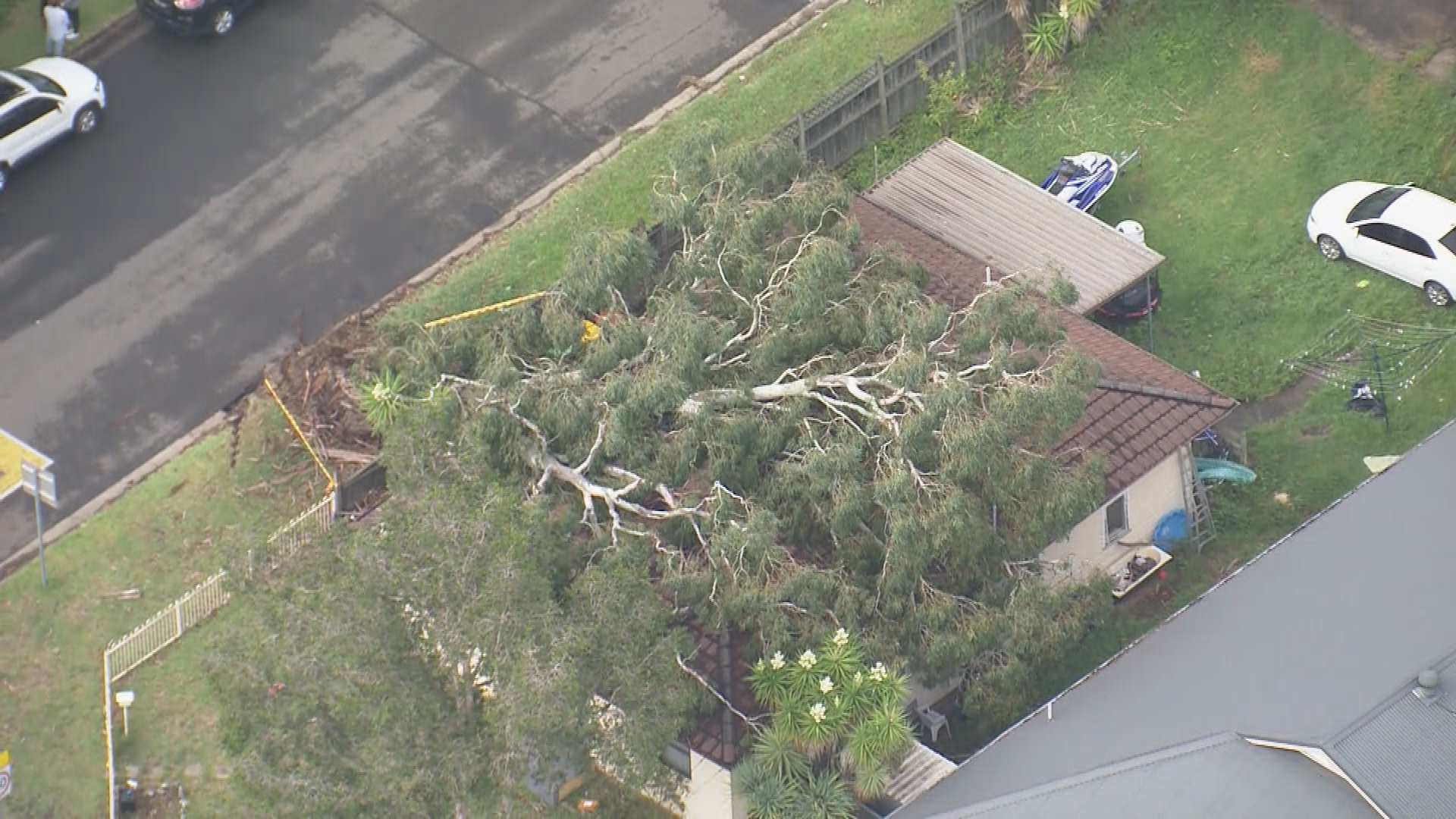 The NSW State Emergency Service is still under the pump, getting 150 calls an hour ﻿for fallen trees and powerlines as the East Coast gets lashed by strong winds and continued rainfall. 