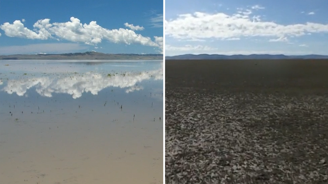 Lake George, located about 30 minutes from Canberra, ranges from a vast body of water to a dust bowl depending on the year.