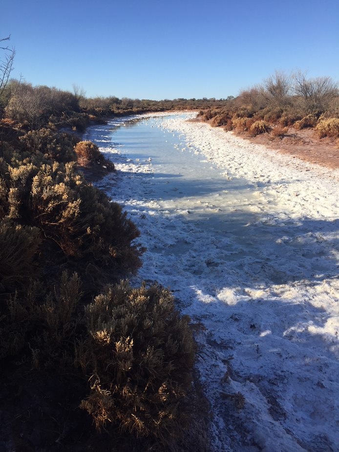 Bellevue Gold Limited was charged with two offences after the company ﻿drew saline water from disused mines in the northern Goldfields between December 2019 and March 2020.