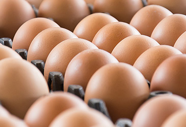 Trays of brown eggs (Getty)