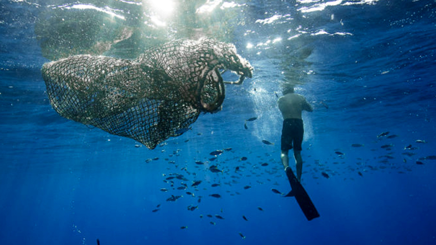 A man swims near a ghost net in the Great Pacific Garbage Patch.
