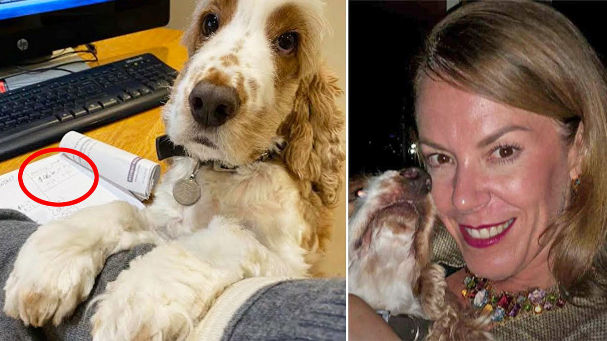 A photo Melissa Caddick sent one of her victims (left) and right, the alleged fraudster with her pet dog.