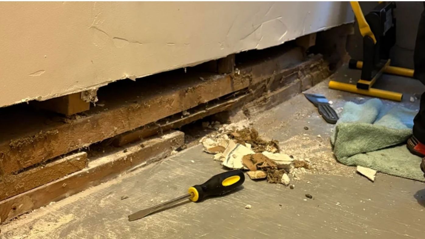 The Hidden Chemical War Inside Your Basement Walls